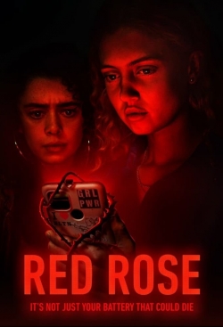 Red Rose-hd