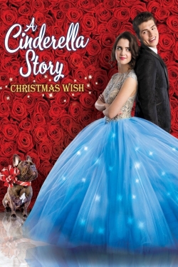 A Cinderella Story: Christmas Wish-hd