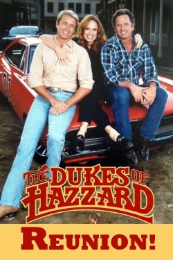 The Dukes of Hazzard: Reunion!-hd