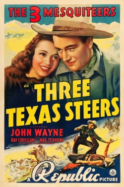 Three Texas Steers-hd
