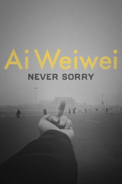 Ai Weiwei: Never Sorry-hd