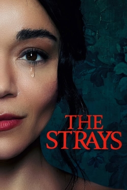 The Strays-hd