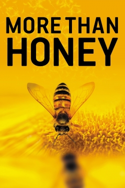 More Than Honey-hd