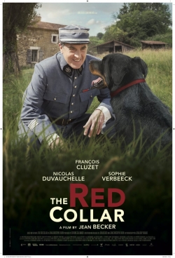 The Red Collar-hd