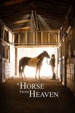 A Horse from Heaven-hd